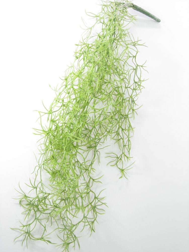 Tillandsienhaenger ca. 60cm gruen-geweisst